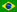 Brazilian